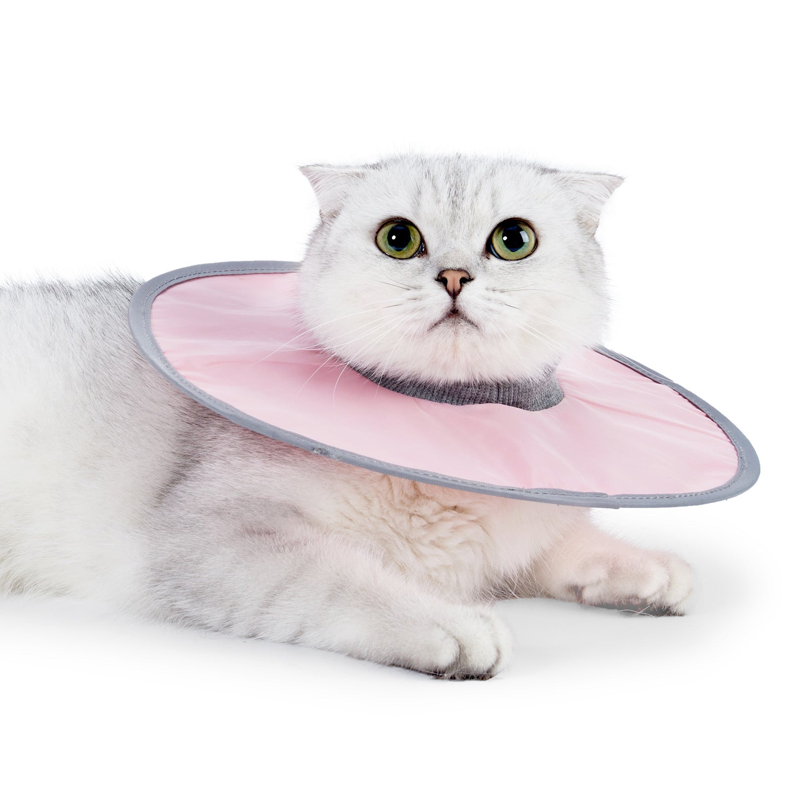 Waterproof Cat Recovery Collar Adjustable Pet Cone Collar Protective Cat Neck Cones To Stop Licking Wounds Lightweight Kitten Cones After Surgery Elizabethan E Collar For Cats Small Dog Puppy