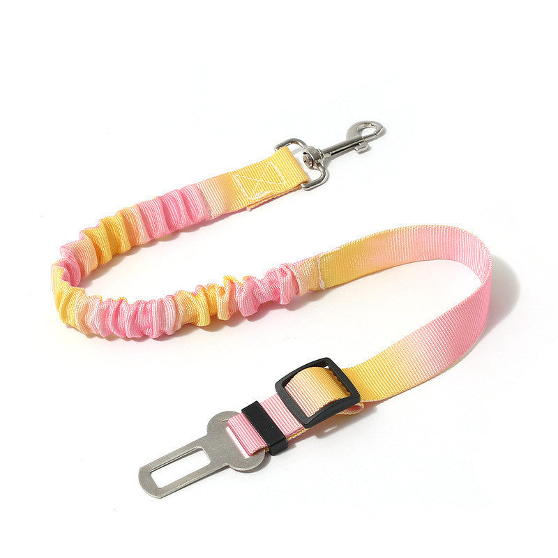 Car Fixed Pet Elastic Hand Holding Rope