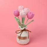Handmade Wool Knitted Flower Pot