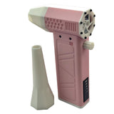 Brushless Motor High-speed Turbine Hand-held Hair Dryer