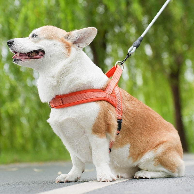 Small Large Dog Reflective Hand Holding Rope Chest Strap