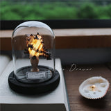 Shell Sea Conch Lamp