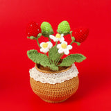 Handmade Wool Knitted Flower Pot