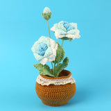 Handmade Wool Knitted Flower Pot
