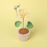 Handmade Wool Knitted Flower Pot