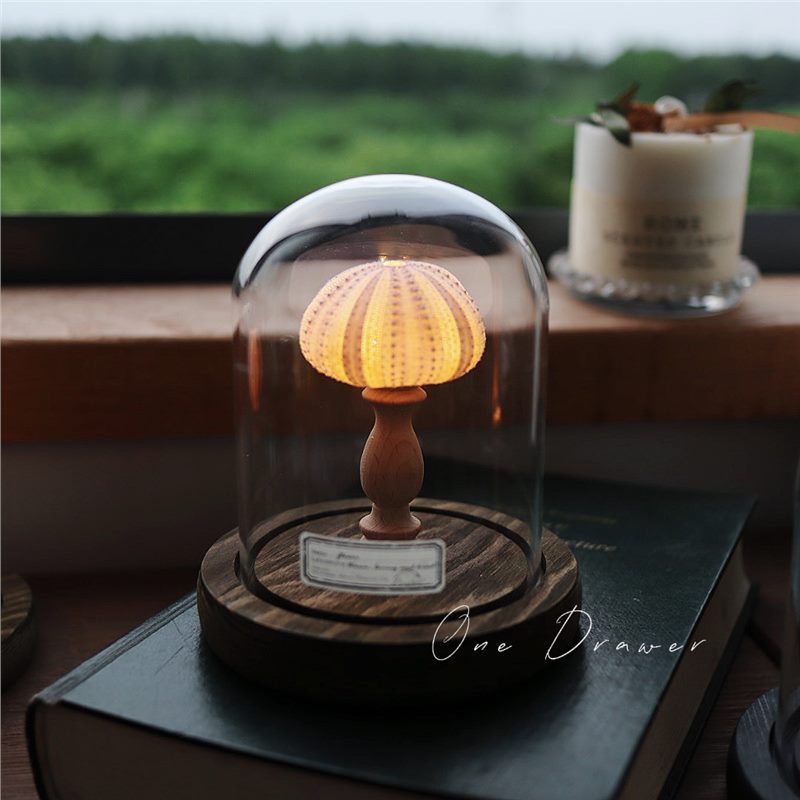 Shell Sea Conch Lamp