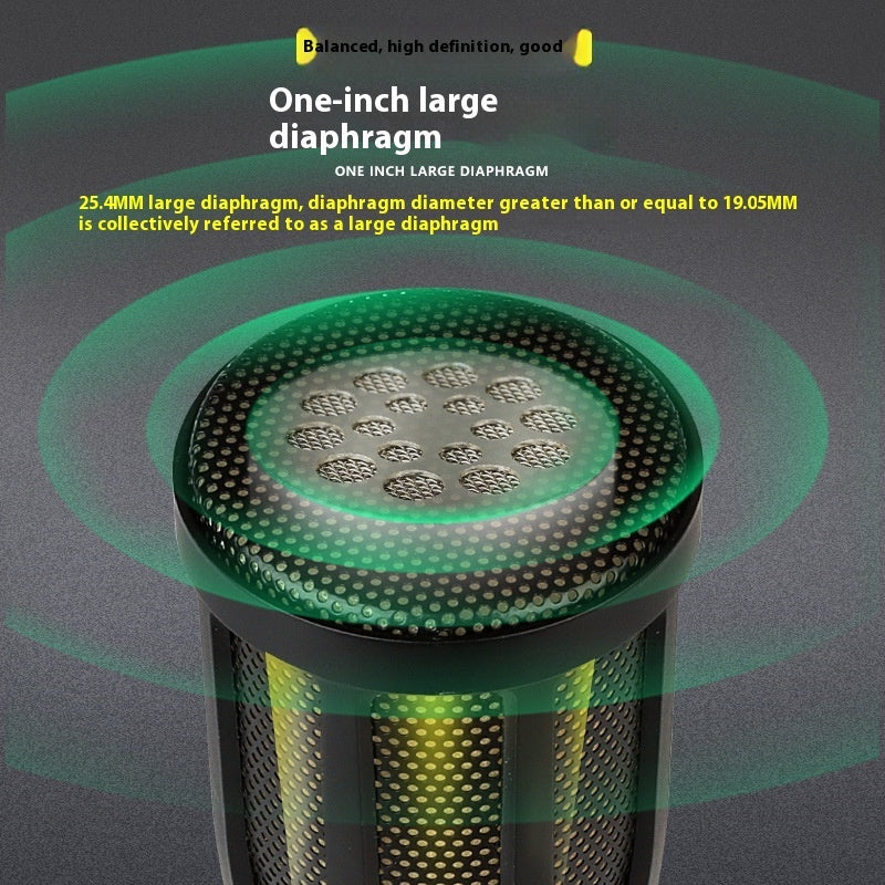 Professional Wired Microphone
