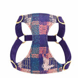 Dog Hand Holding Rope Vest Walking Dog