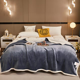 Simple And Stylish Warm Milk Velvet Blanket