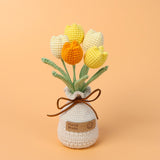 Handmade Wool Knitted Flower Pot