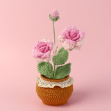 Handmade Wool Knitted Flower Pot