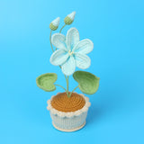 Handmade Wool Knitted Flower Pot