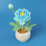 Handmade Wool Knitted Flower Pot