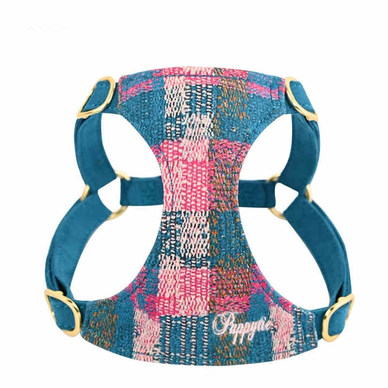 Dog Hand Holding Rope Vest Walking Dog