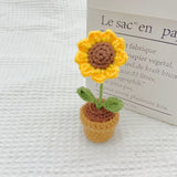 Hand-woven Mini Potted Office Decorations Wool Finished