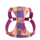 Dog Hand Holding Rope Vest Walking Dog