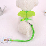 Pet Walking Dog Angel Wings Hand Holding Rope