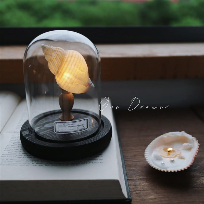 Shell Sea Conch Lamp