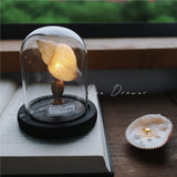 Shell Sea Conch Lamp