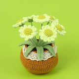 Handmade Wool Knitted Flower Pot