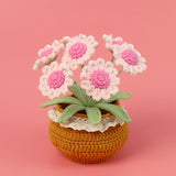 Handmade Wool Knitted Flower Pot