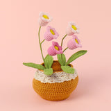 Handmade Wool Knitted Flower Pot