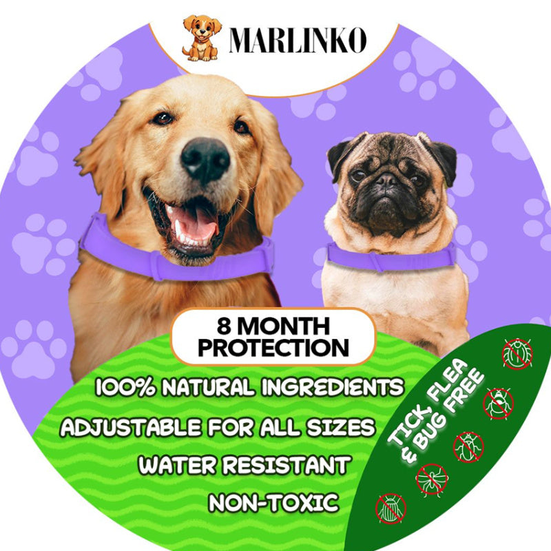 Emotional Comfort Collar For Cat And Dog Flea And Lice Removal