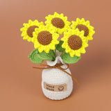 Handmade Wool Knitted Flower Pot