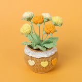 Handmade Wool Knitted Flower Pot