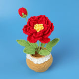 Handmade Wool Knitted Flower Pot