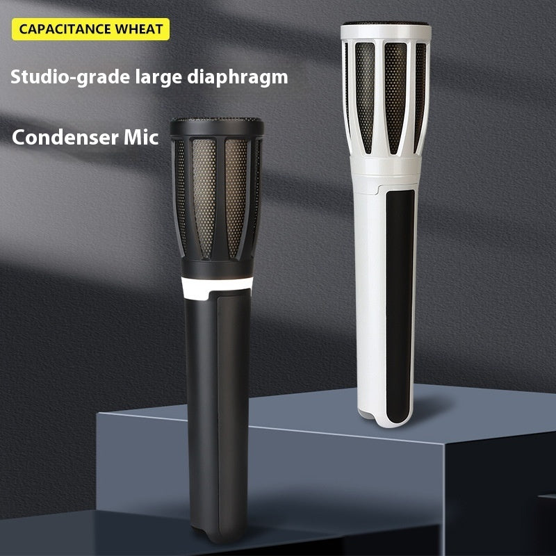 Professional Wired Microphone