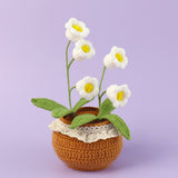Handmade Wool Knitted Flower Pot