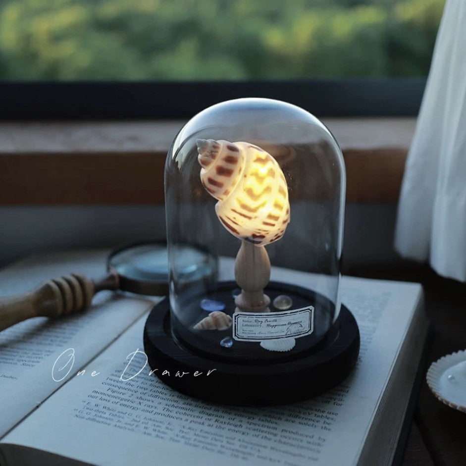 Shell Sea Conch Lamp