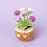 Handmade Wool Knitted Flower Pot
