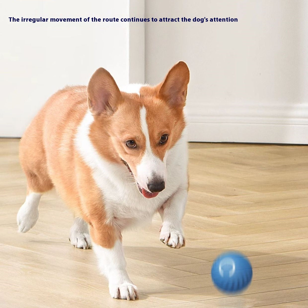 Gravity Intelligent Charging Dog Toy