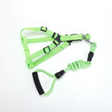 Small, Medium And Large Dogs Dog Traction Belt Pet