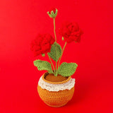 Handmade Wool Knitted Flower Pot