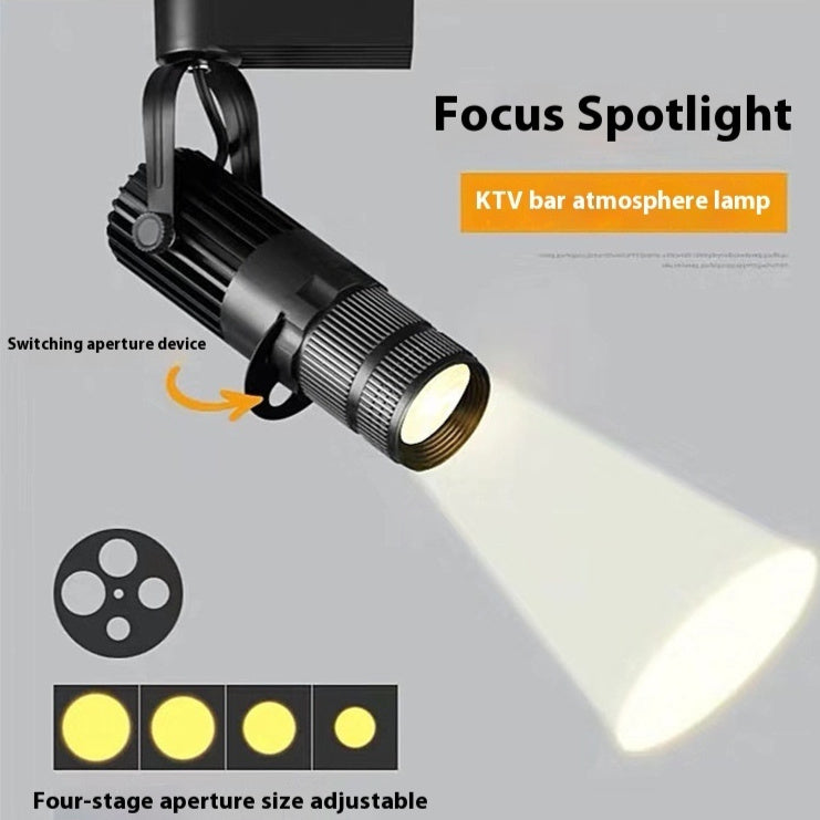 Focus Spotlight LED Mounted