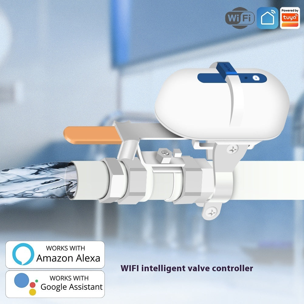 Intelligent Manipulator Electric Valve Remote Timing
