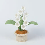 Handmade Wool Knitted Flower Pot