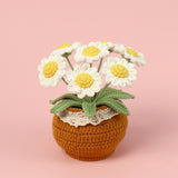 Handmade Wool Knitted Flower Pot