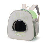 Outdoor Portable Double Shoulder Pet Transparent Bag