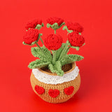 Handmade Wool Knitted Flower Pot