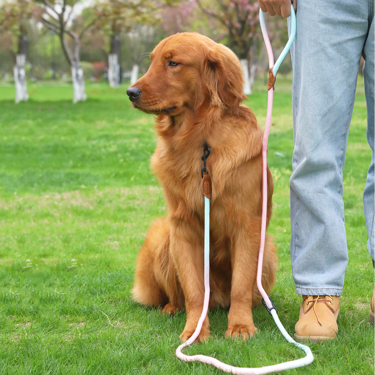 Pet Dog Cat Walking Multi-purpose Reflective Hand Holding Rope