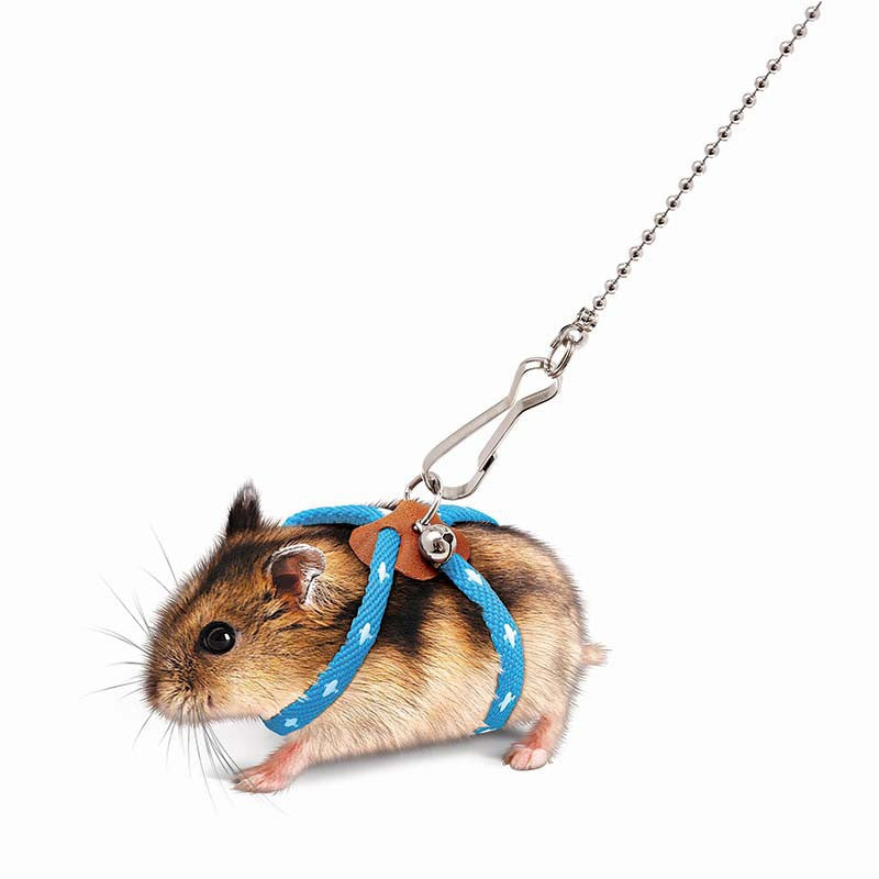 Hamster Hand Holding Rope Anti-bite Broken Mouse Walking Rope