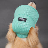 Ear Leakage Breathable Golden Retriever Dog Hat Summer Shading