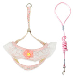 Dog Hand Holding Rope Small Dog Vest