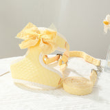 Hand Holding Rope Chest Strap Small Puppies