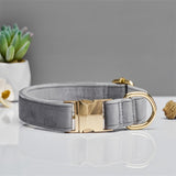 Solid Color Simple Pet Dog Collar Hand Holding Rope