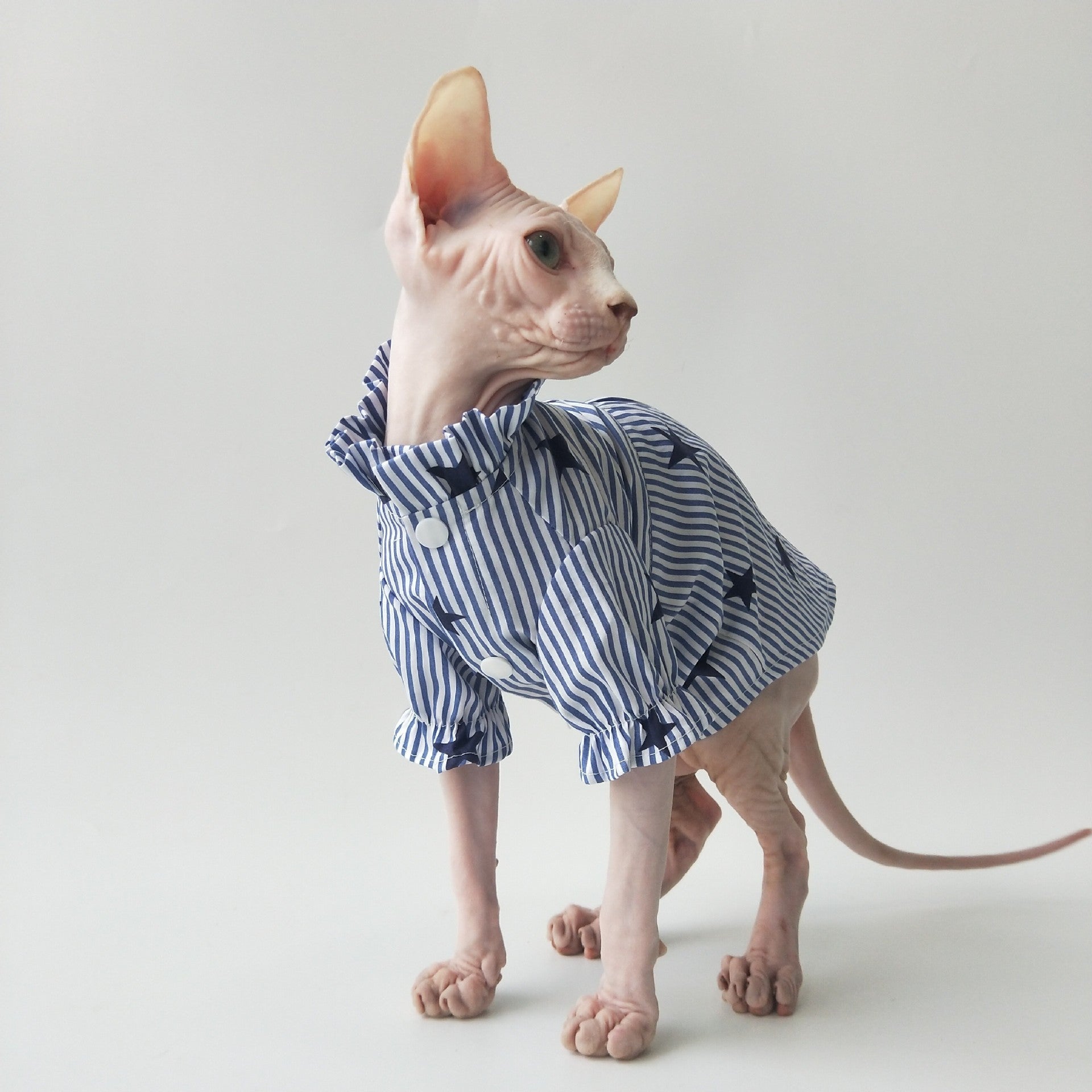 Thin Cotton Shirt Breathable Refreshing Sphinx Hairless Cat German